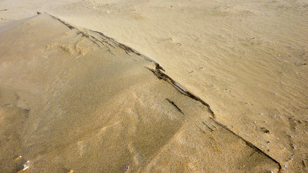 timber-buried-sand-thurra-river-beach-croajingolong