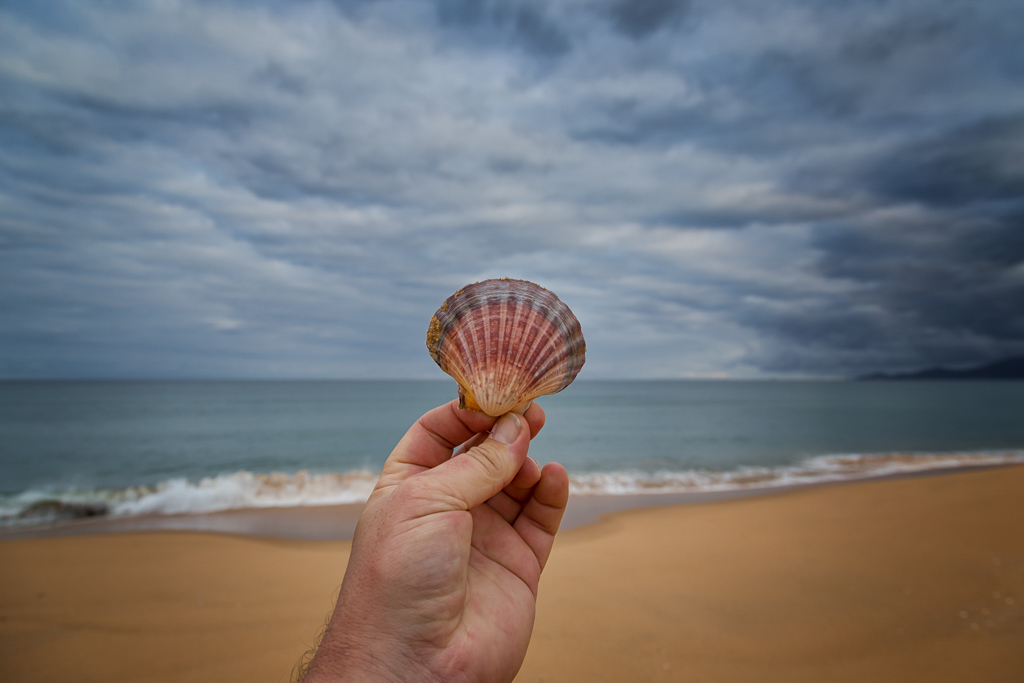 holding-sea-shell-five-mile-beach-wilsons-prom