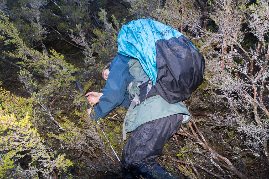 falling-into-tree-never-never-tasmania