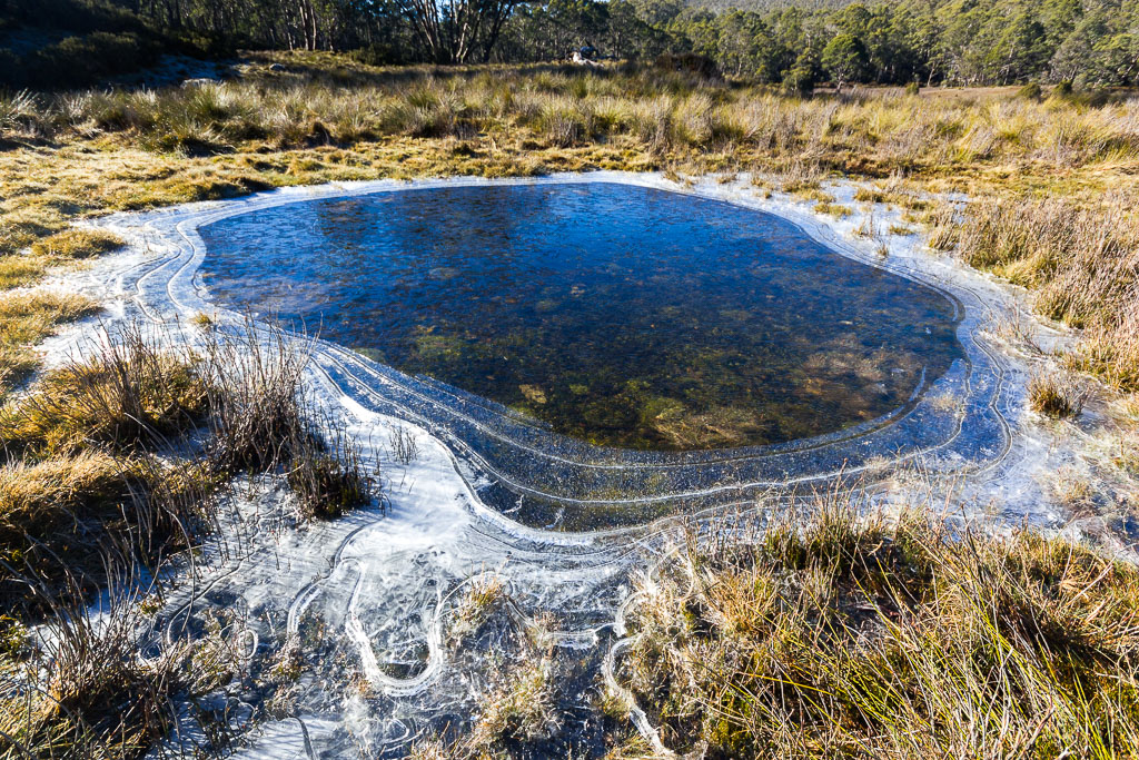 frozen-pool-of-water-tasmania