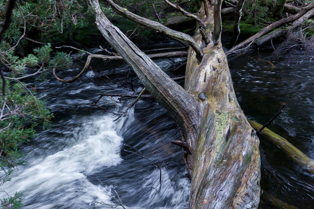 log-crossing-over-mersey-river-never-never-tasmania