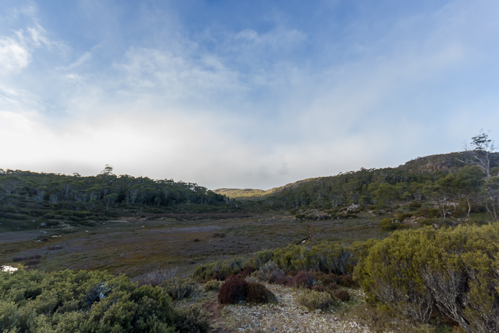open-ground-near-lake-adelaide-tasmania