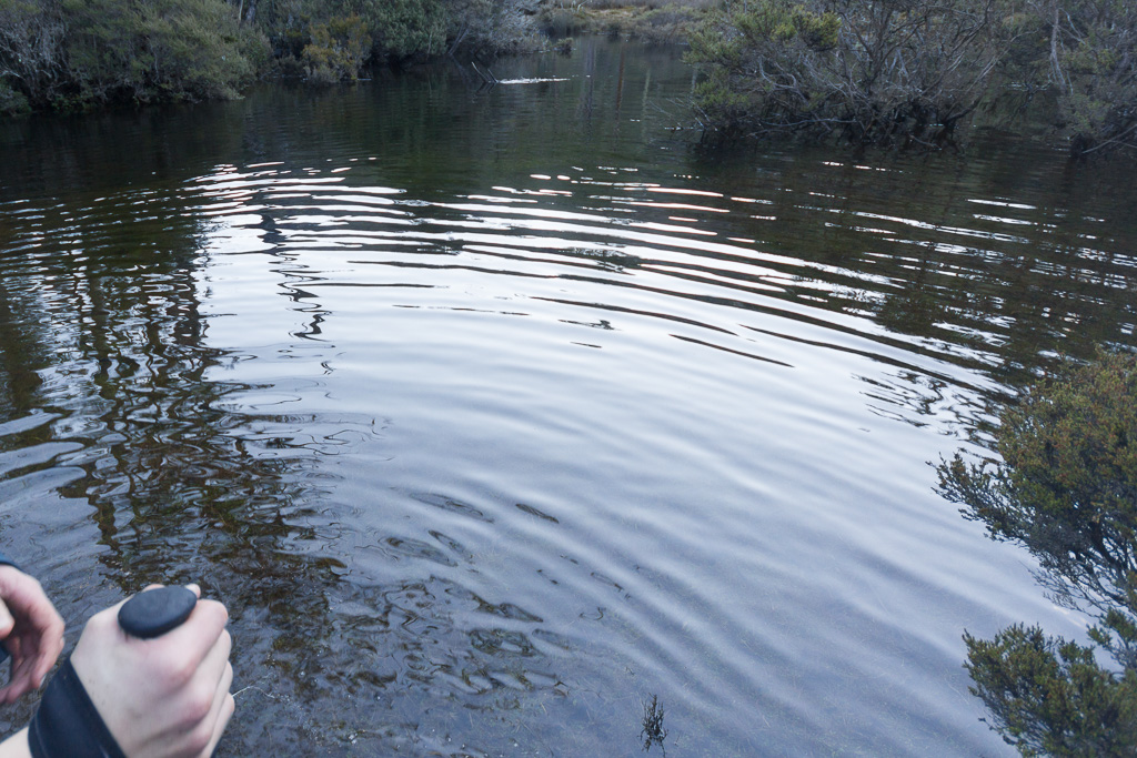 standing-in-water-never-never-tasmania