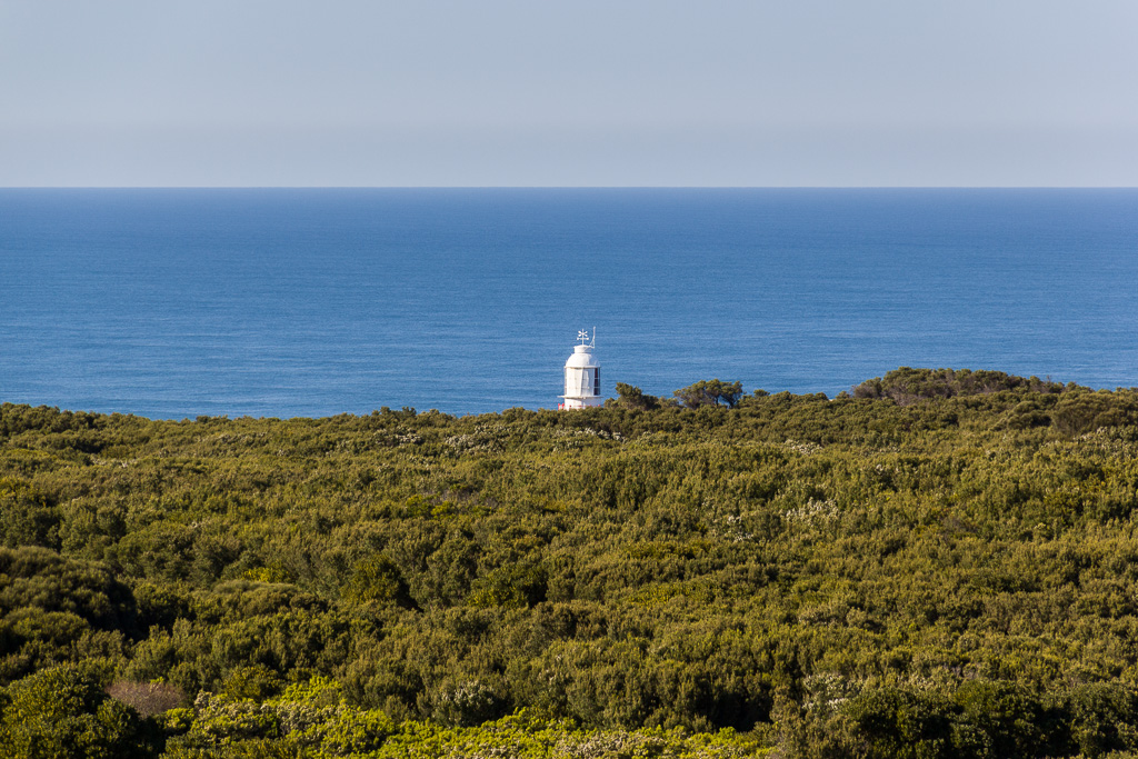 cape-otway-lighthouse-above-trees
