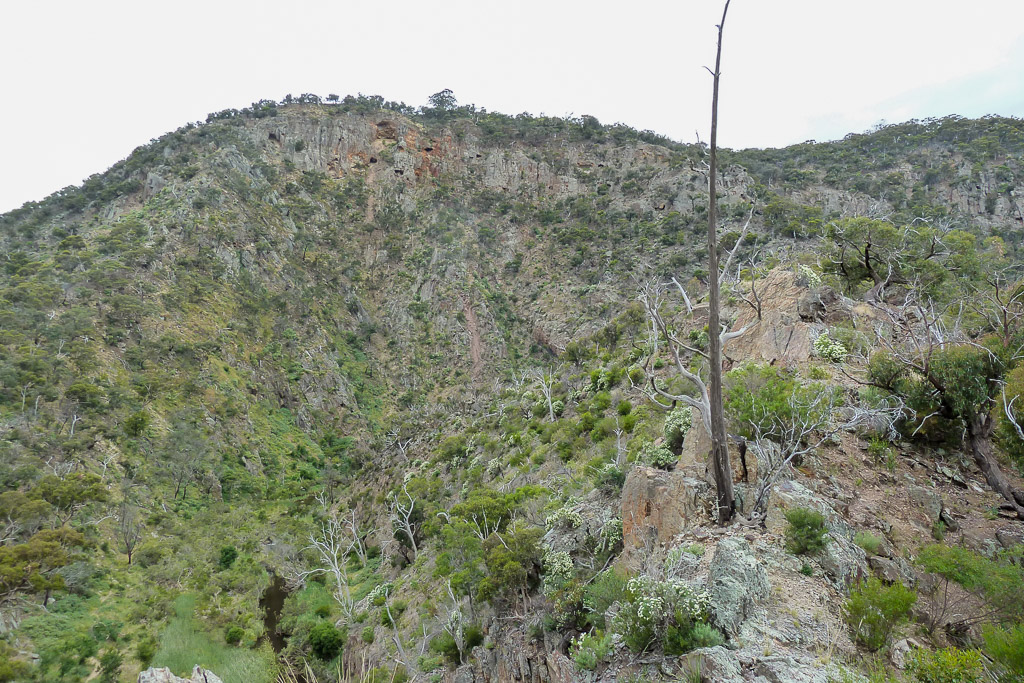 narrow-ridge-western-bluff-werribee-gorge