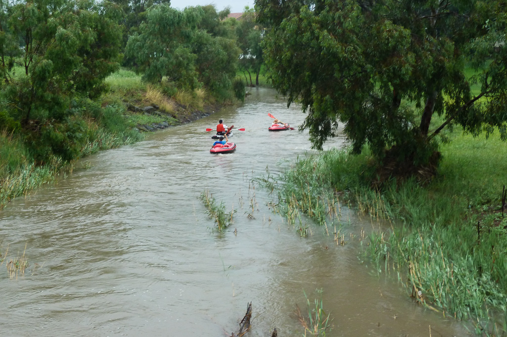 kayak-floods-koroit-creek-2011