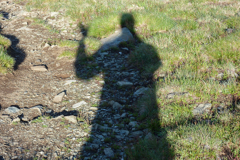 shadow-selfie