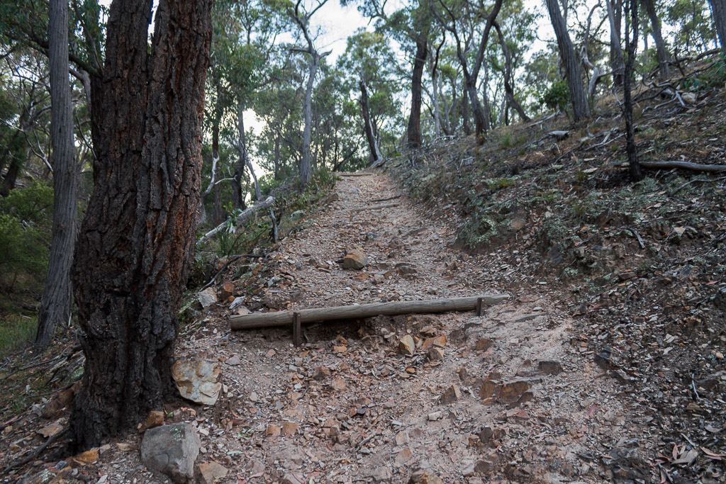 uphill-track-ironbark-gorge-werribee-gorge