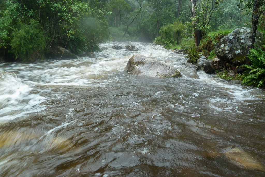 high-water-mountain-creek