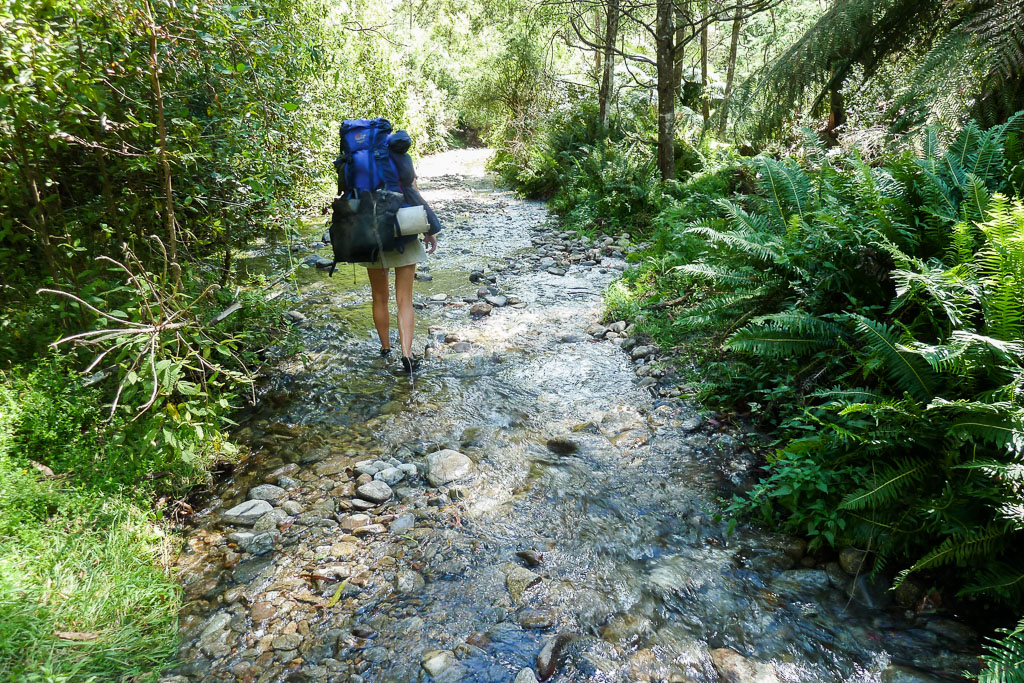 wet-mountain-creek-road-below-mount-bogong