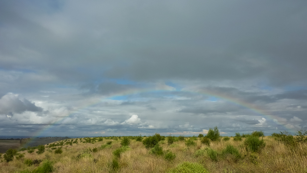 rainbow-above-the-island