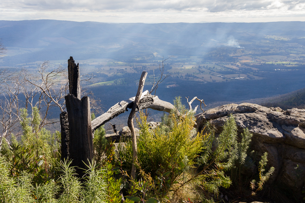 burnt-trees-views-from-razorback-track-cathedral-ranges