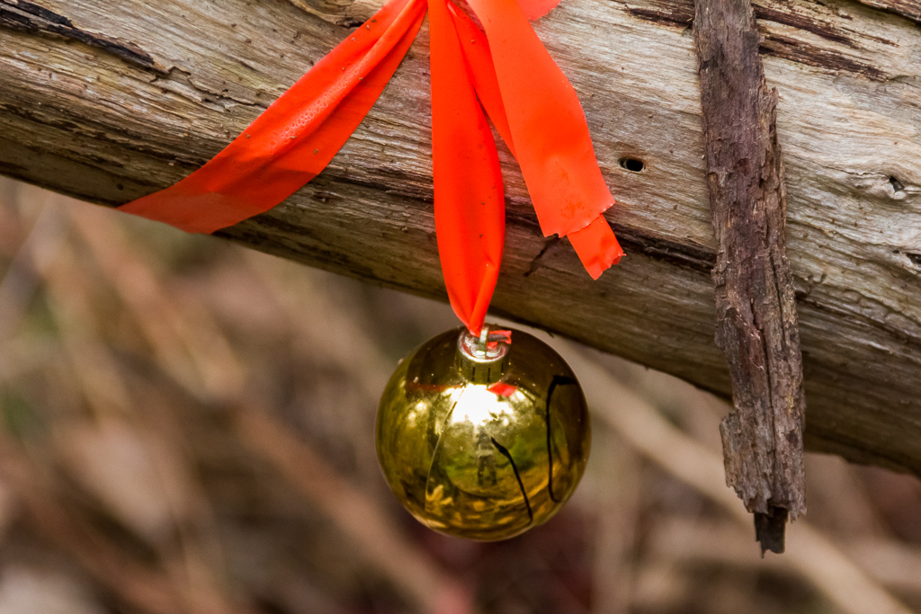christmas-bauble-tied-to-tree