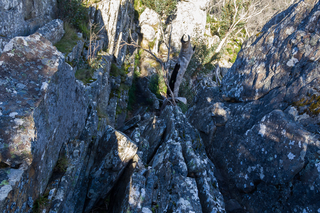 climbing-rock-slabs-canyon-track-cathedral-ranges