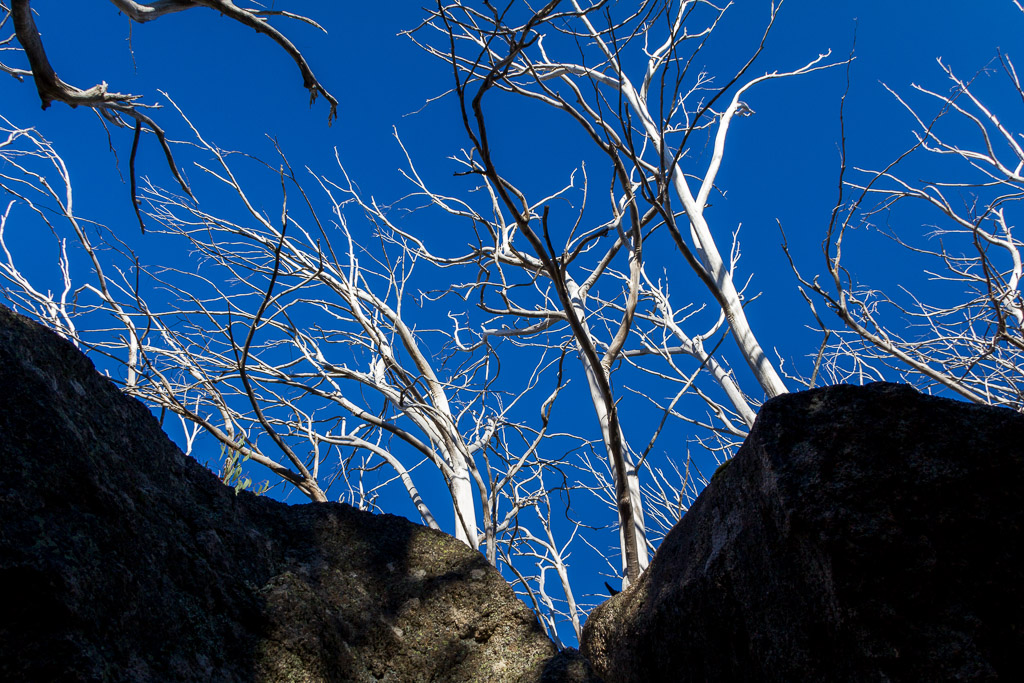 rocks-trees-blue-sky