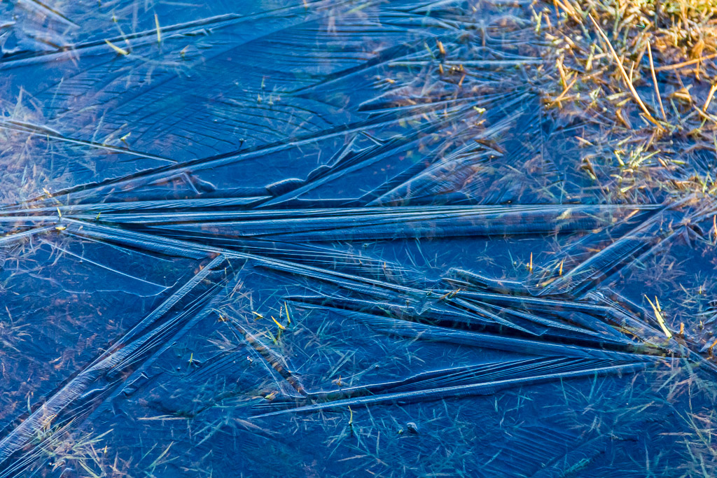 frozen-ice-over-grass
