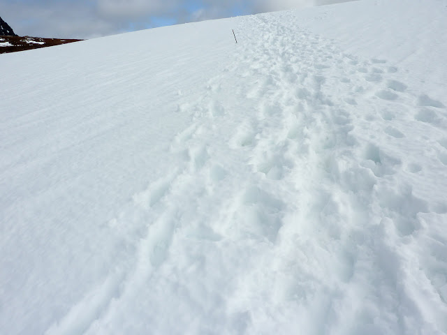 snow-on-overland-track
