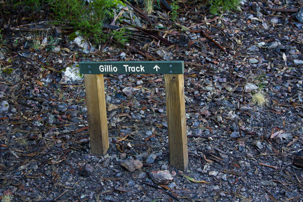 track-sign-gillio-track
