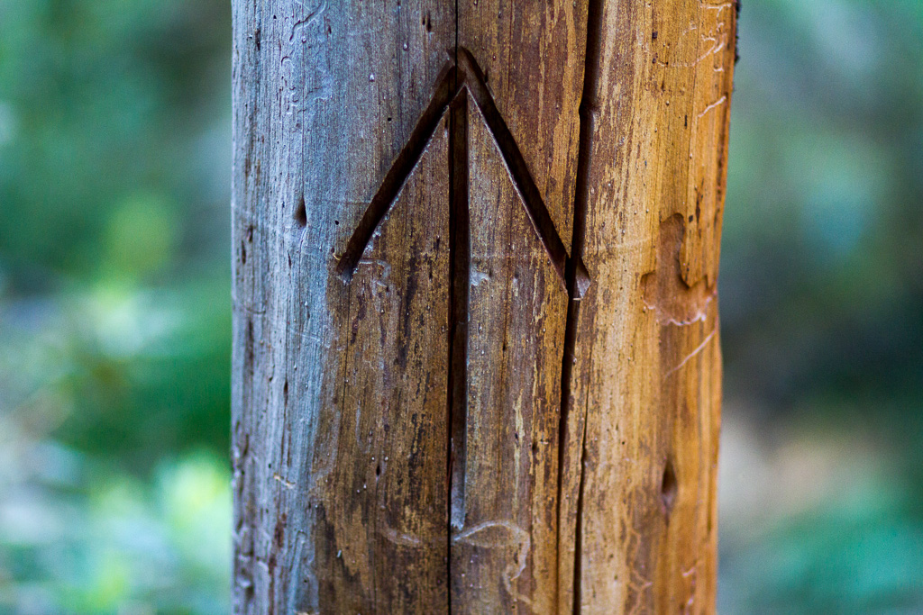 arrow-engraved-into-tree