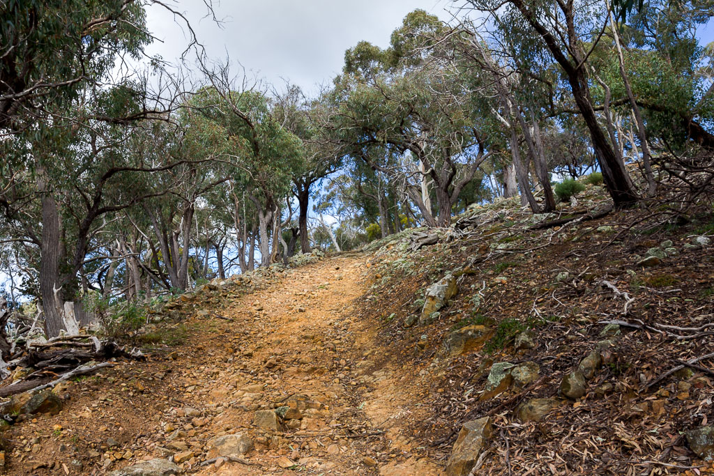 climbing-path-werribee-gorge