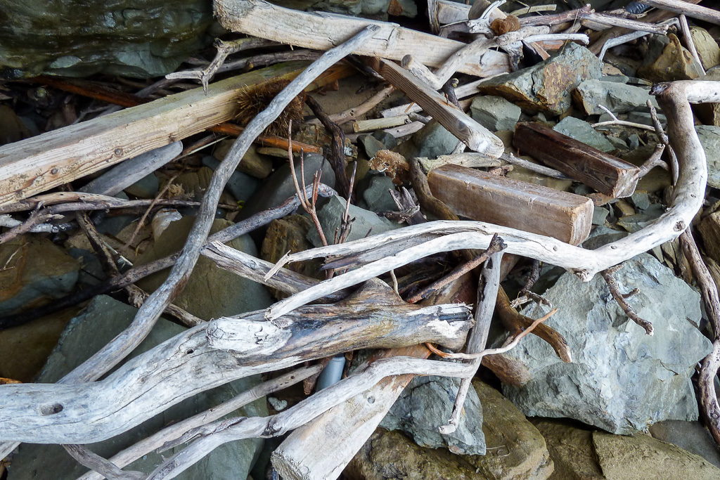 driftwood-on-rocks