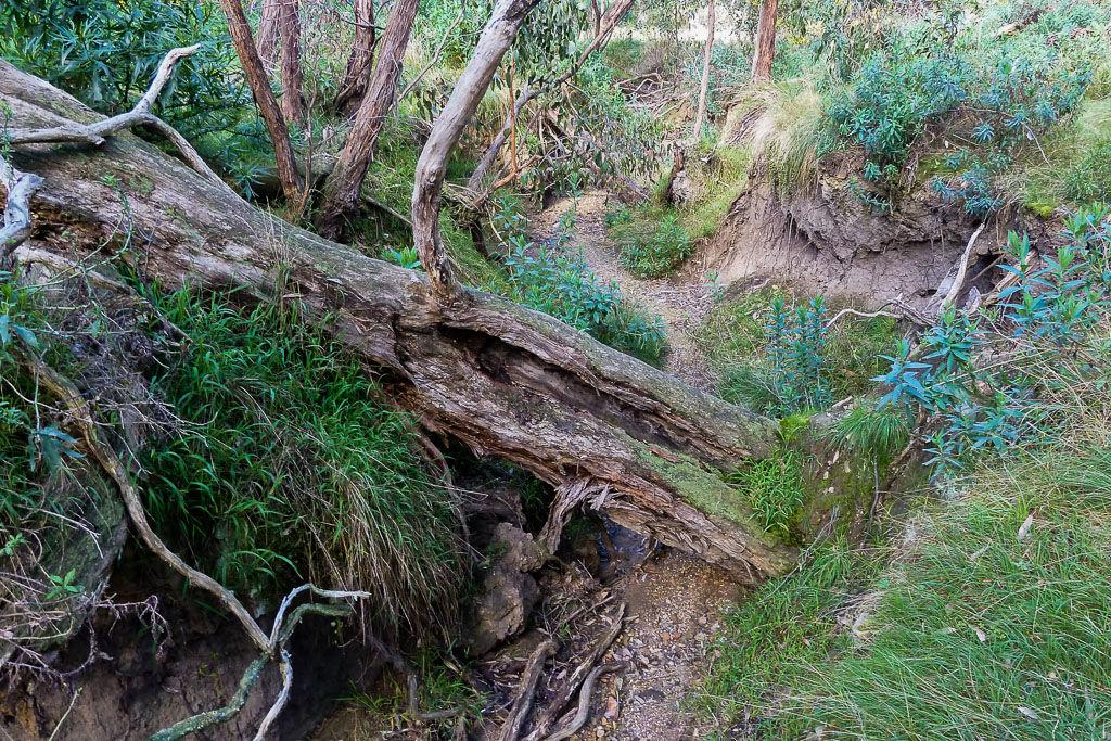 dry-creek-ingliston-gorge-werribee