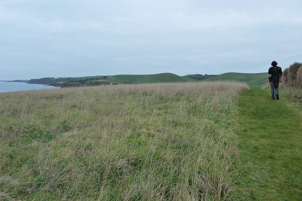 on-george-bass-coastal-walk-grass-track