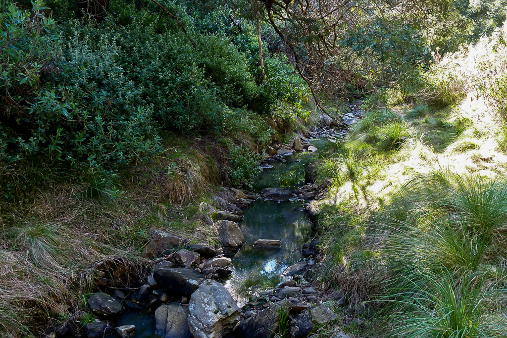 small-creek-water-ingliston-gorge