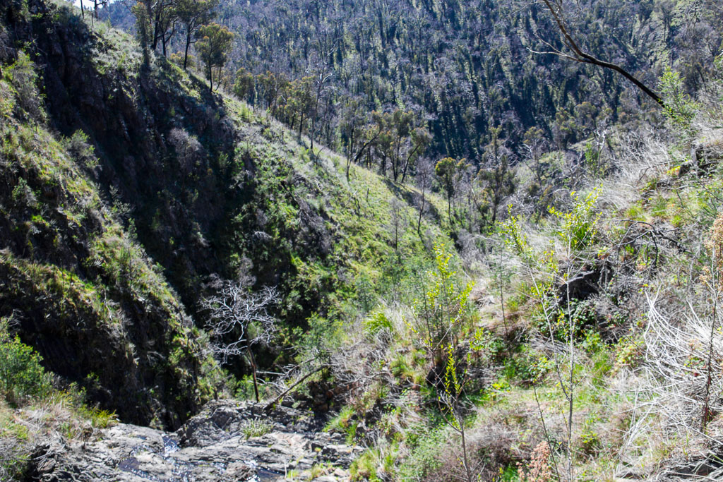 above-diggers-gully-falls