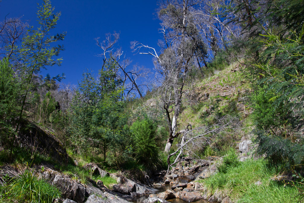 following-small-creek-above-diggers-gully-falls