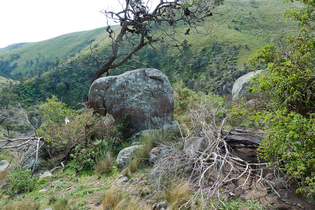 rock-at-the-granites-werribee-gorge