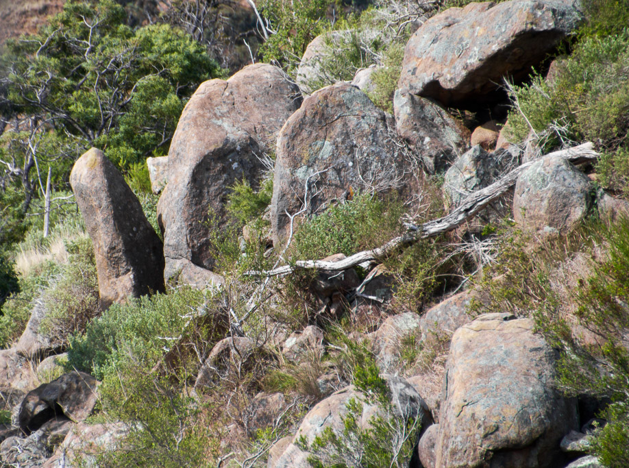 split-rock-granites-werribee-gorge