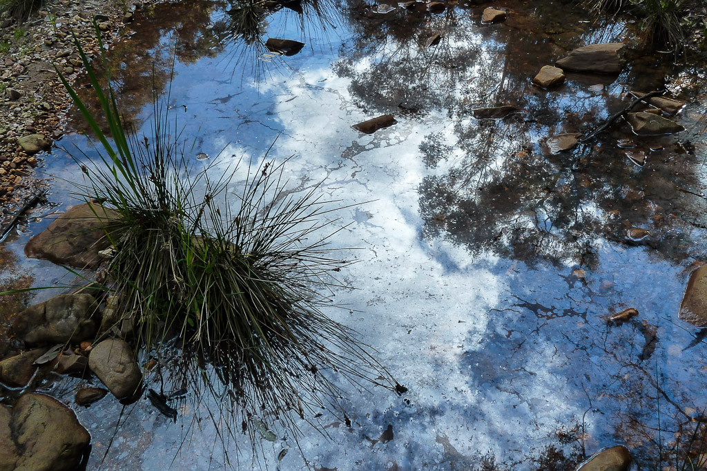sutherland-creek-water-reflection
