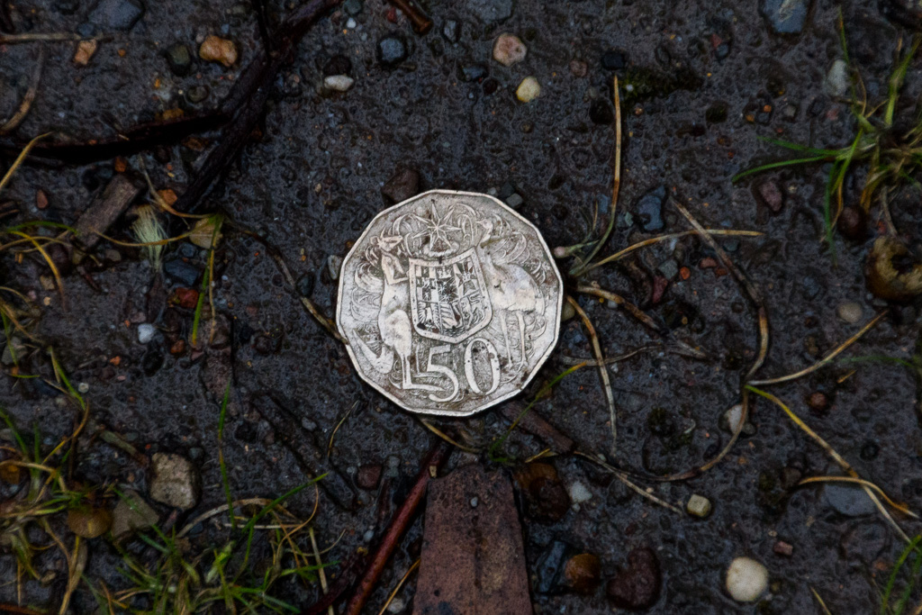 50-cent-coin-lying-on-ground