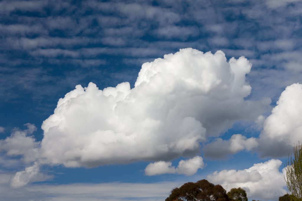 cumulus-cloud