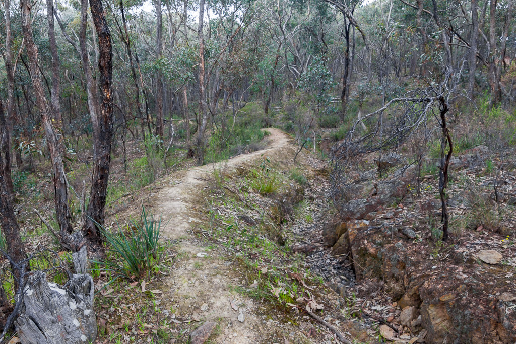 old-water-race-track-chewton