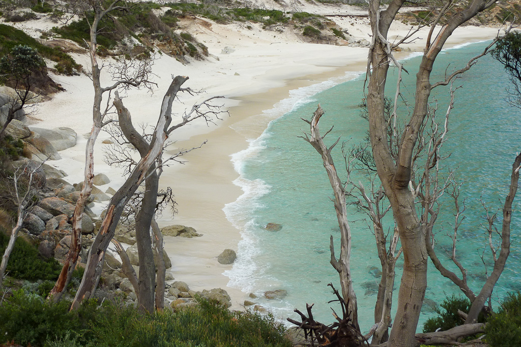 above-little-oberon-bay-wilsons-promontory