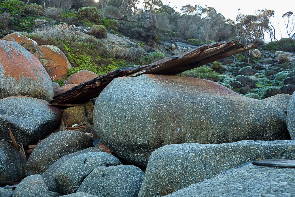 large-drift-wood-south-point-wilsons-promontory