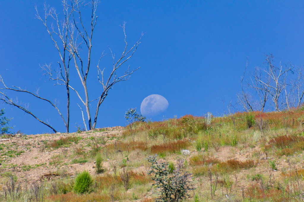 moon-rising-above-hill-side