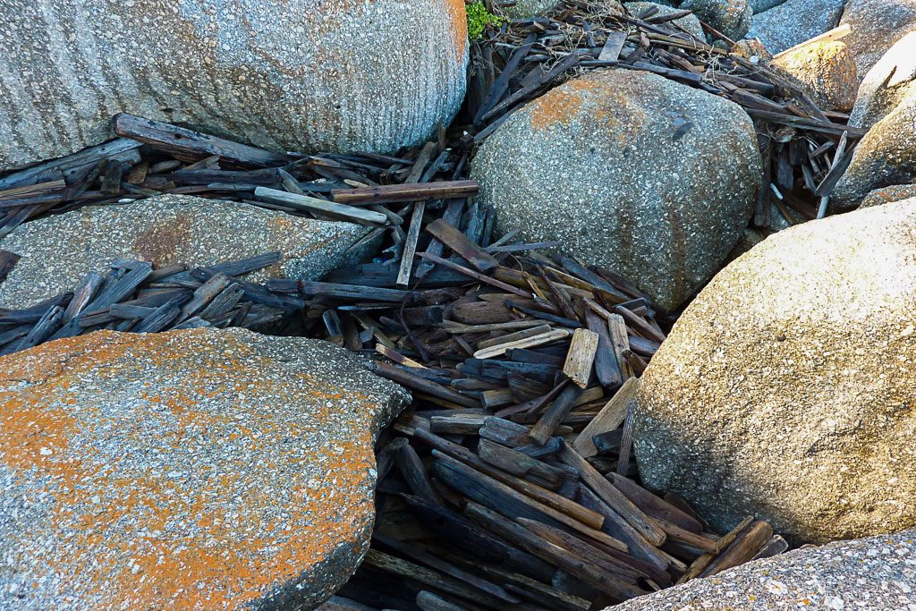 piled-drift-wood-south-point-wilsons-promontory