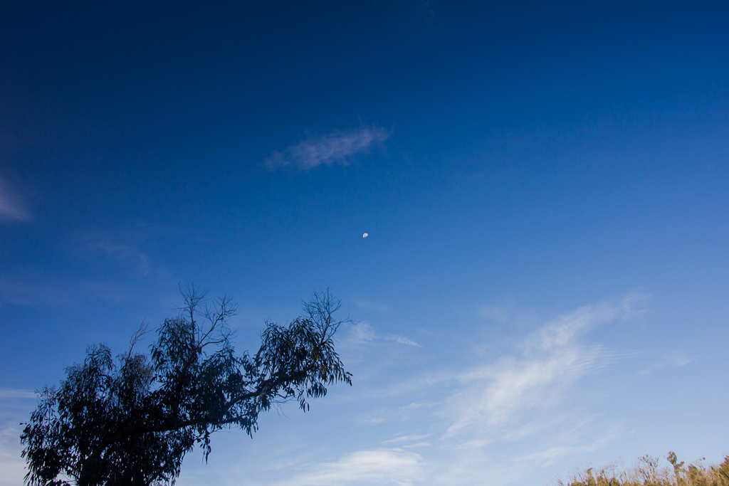 ising-moon-twilight-blue-sky