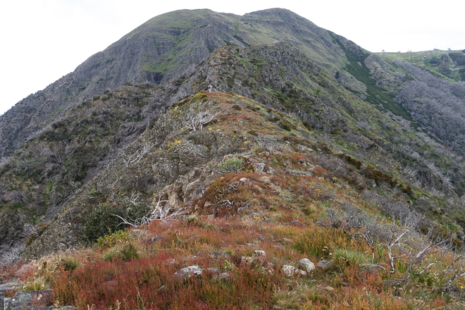 climbing west ridge-mount-buller