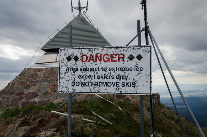 green-insects-on-sign-fire-tower-mount-buller