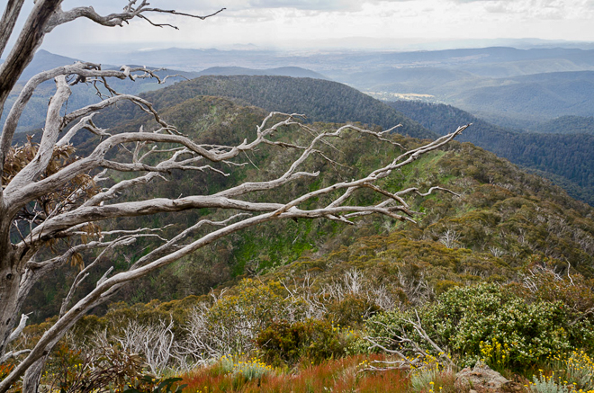 view-from-west-ridge-mount-buller