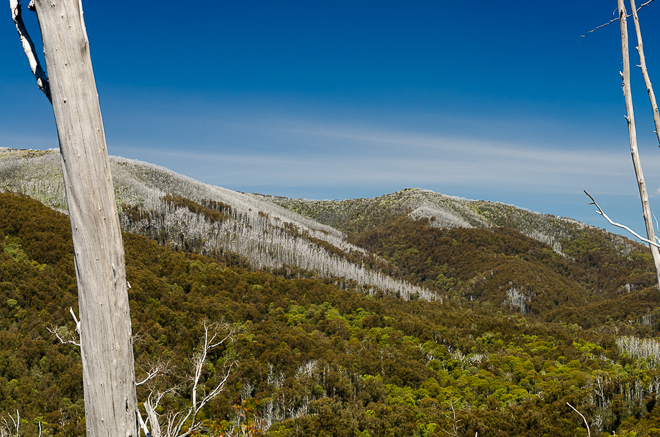 View from Diamantina Spur