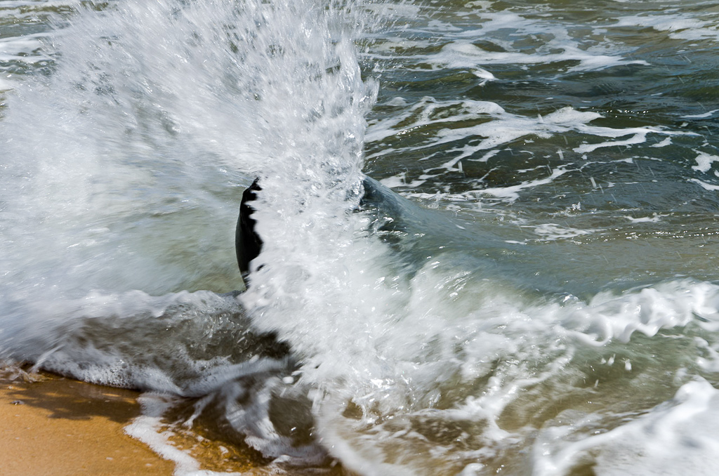 wave-breaking-rocks-baxters-beach