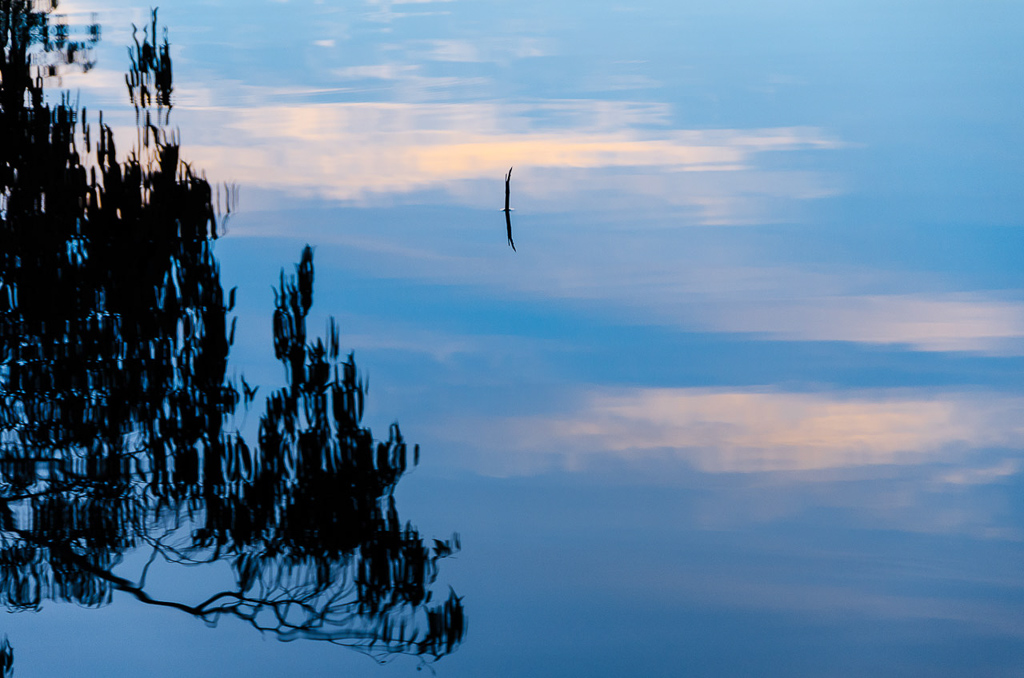 reflections-on-glenelg-river-battersbys