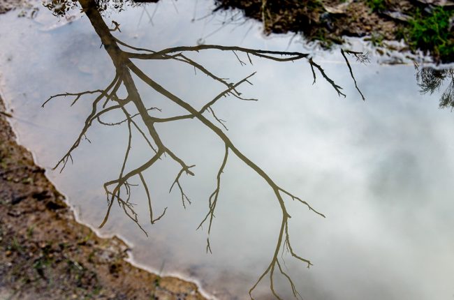 water-reflection-great-south-west-walk