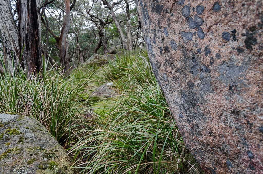 boulders-on-climb-to-mt-langi-ghiran