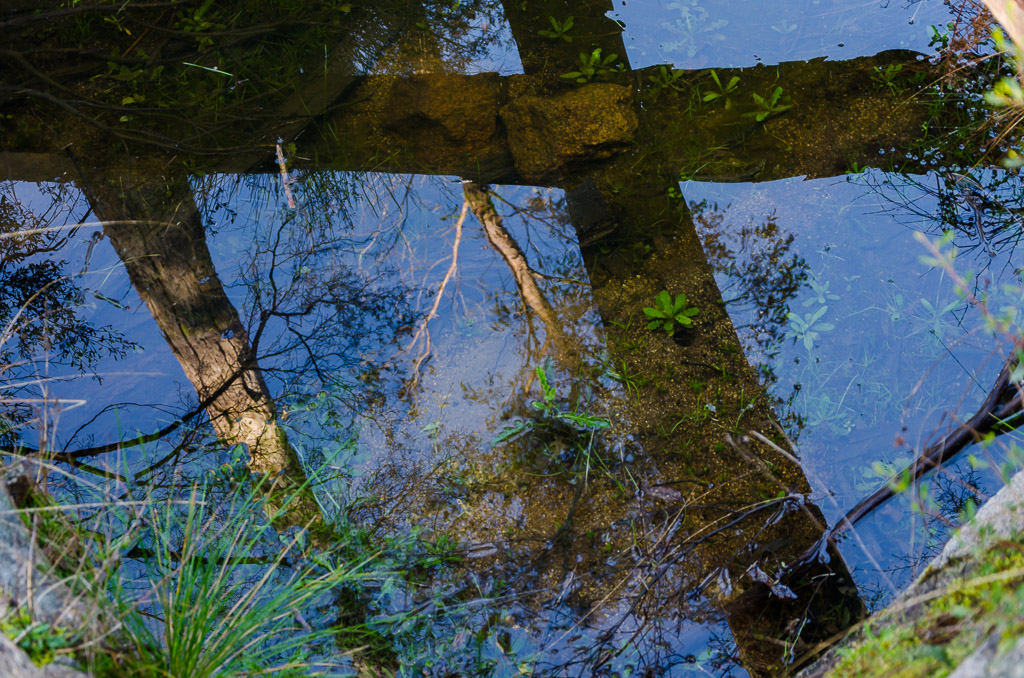 water-reflection-langi-ghiran-state-park